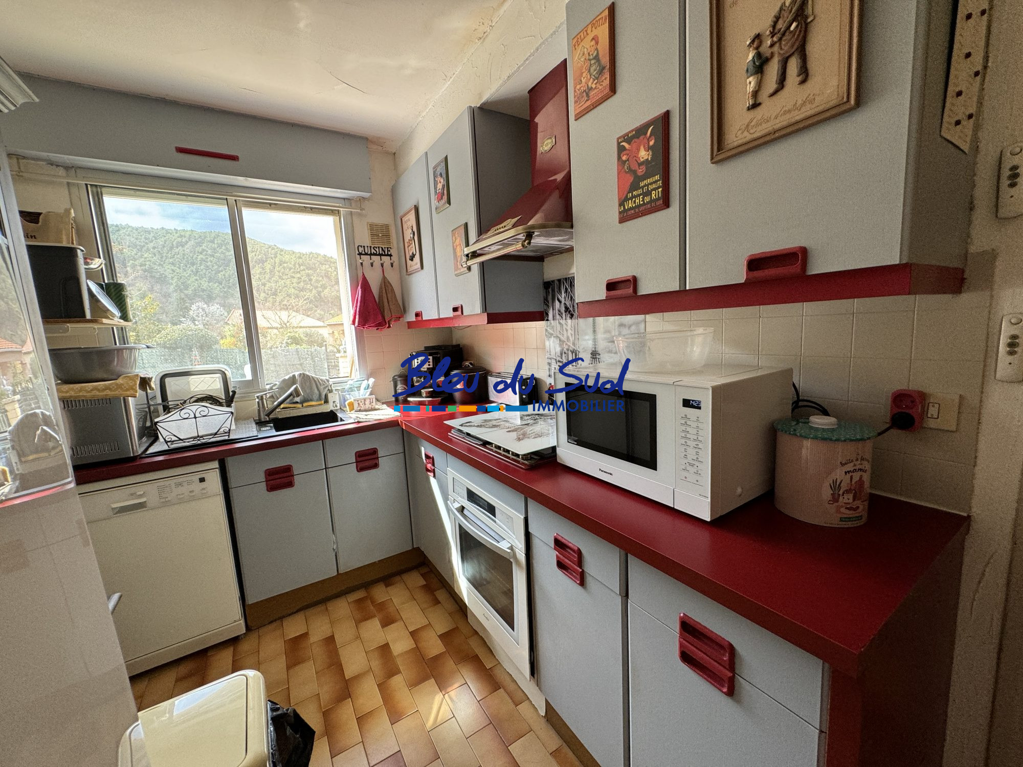 Photo 8 — BLEU DU SUD