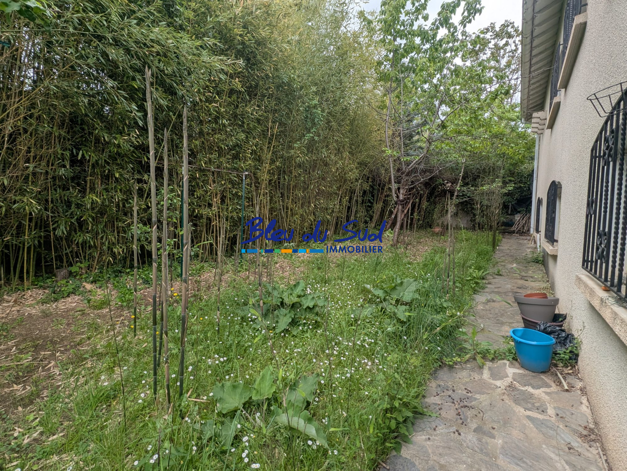 Photo 17 — BLEU DU SUD