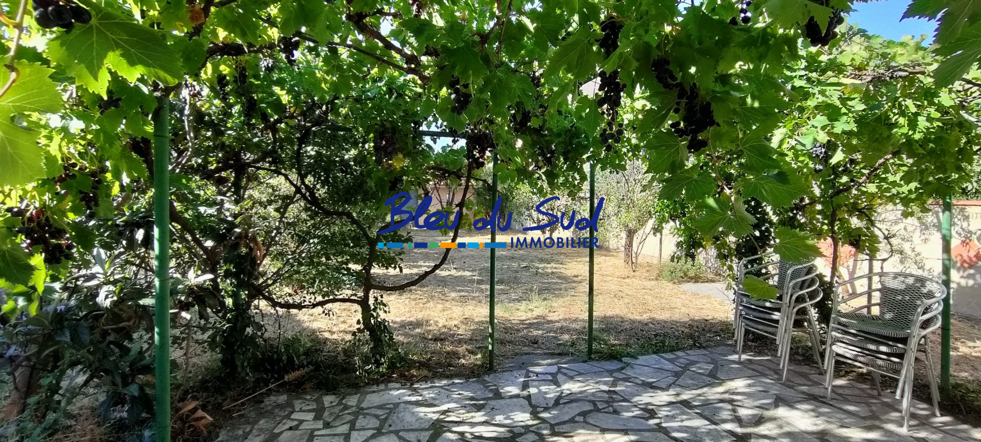 Photo 9 — BLEU DU SUD