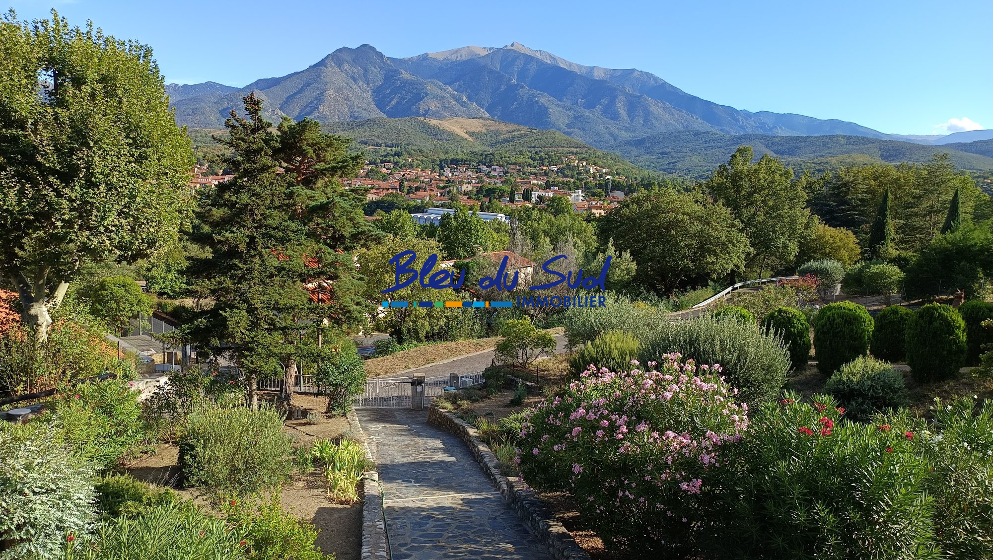 Photo 5 — BLEU DU SUD