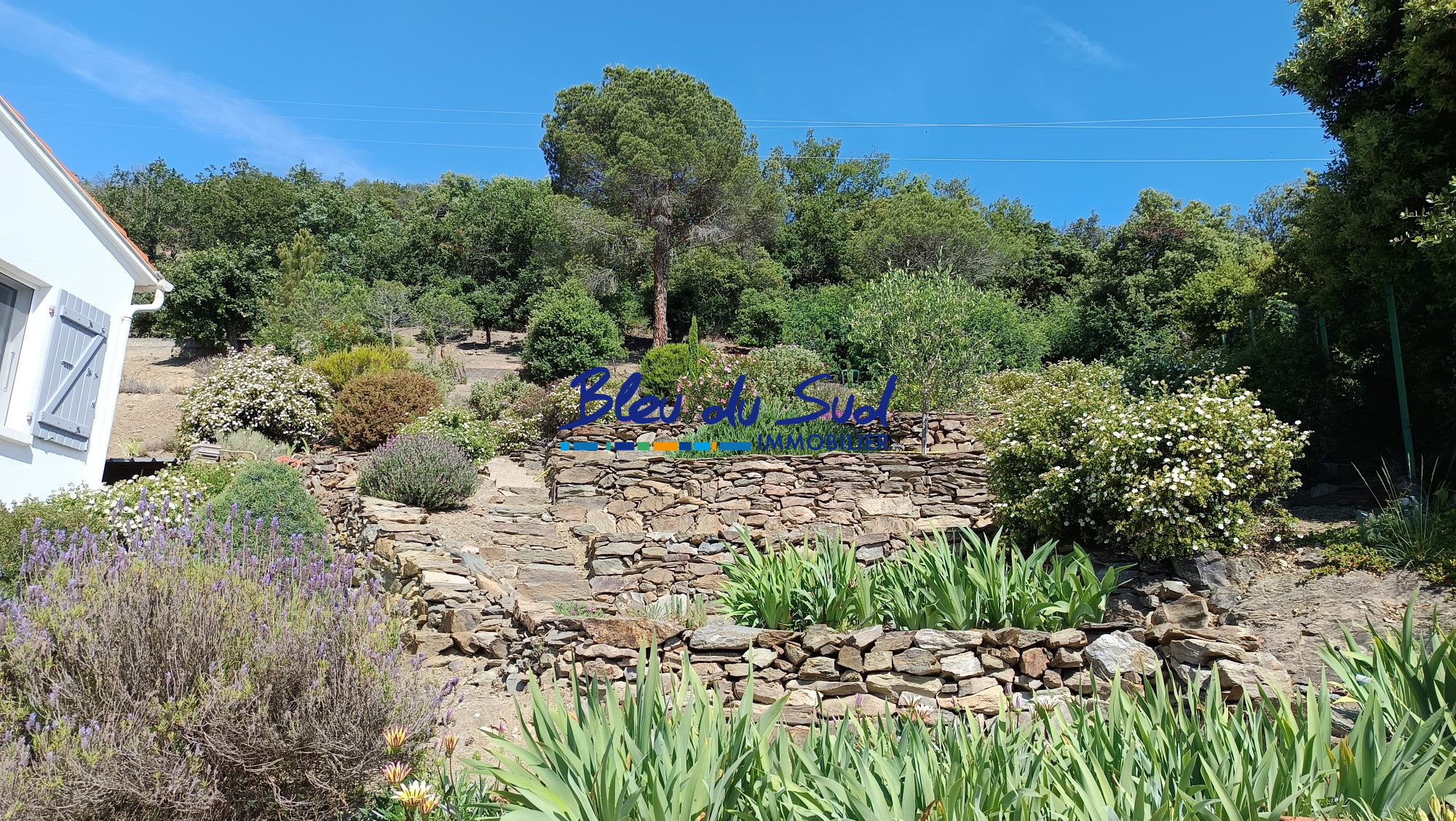 Photo 19 — BLEU DU SUD
