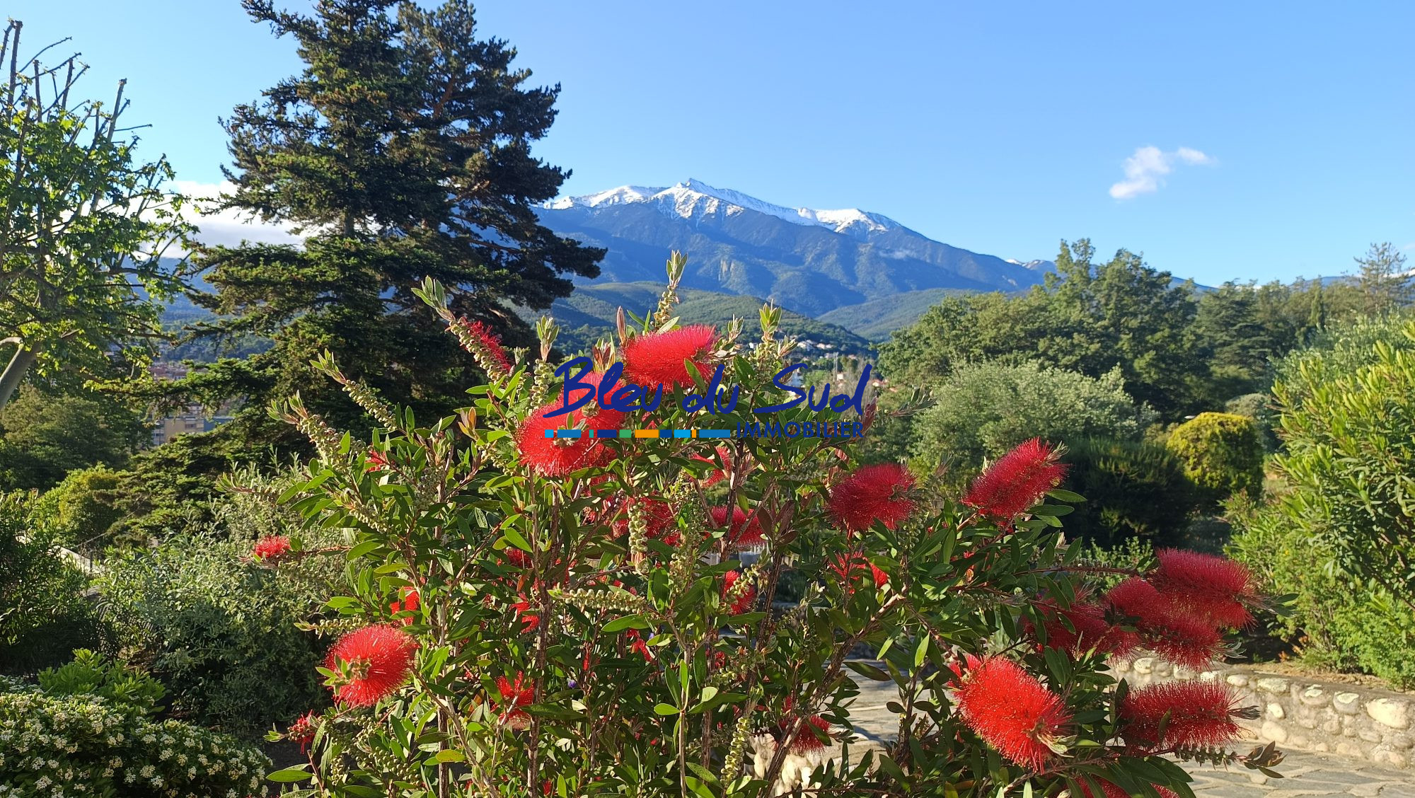 Photo 3 — BLEU DU SUD