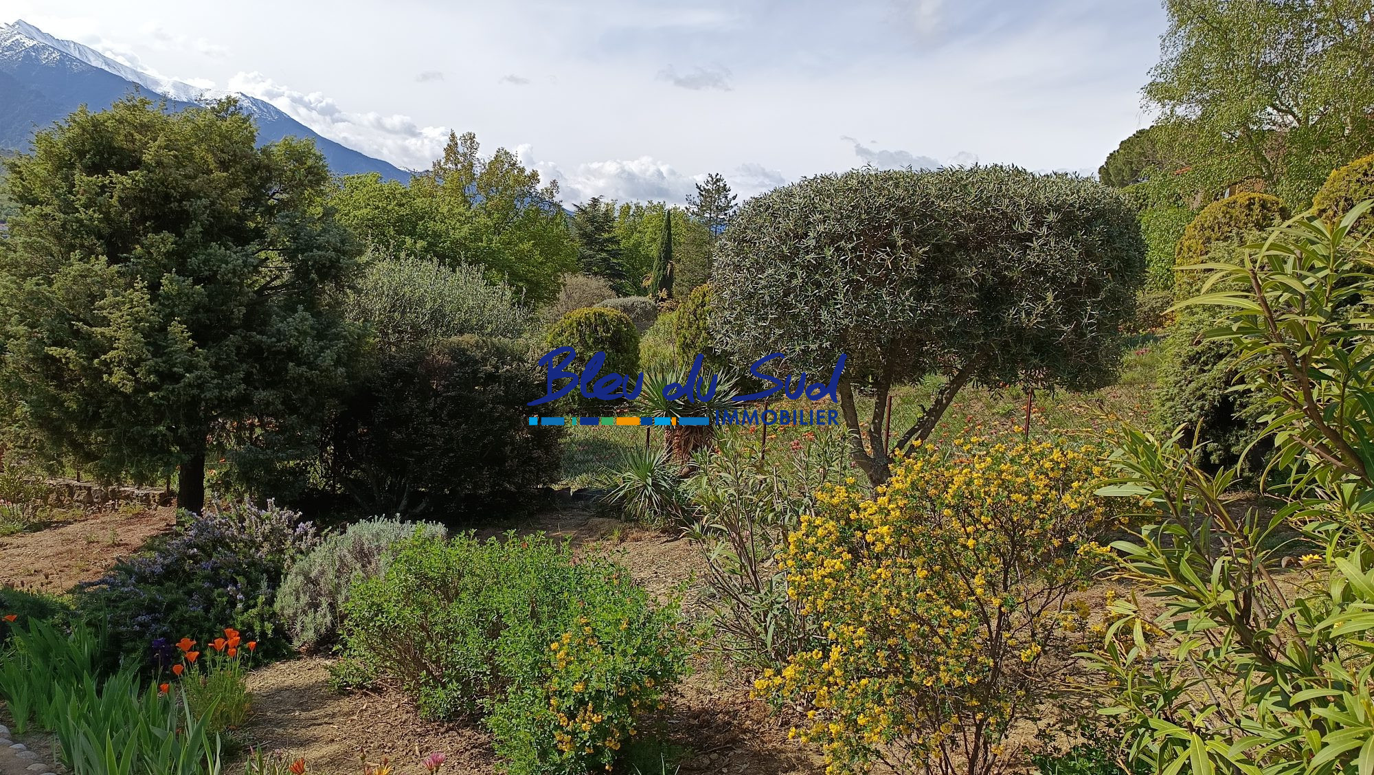 Photo 21 — BLEU DU SUD