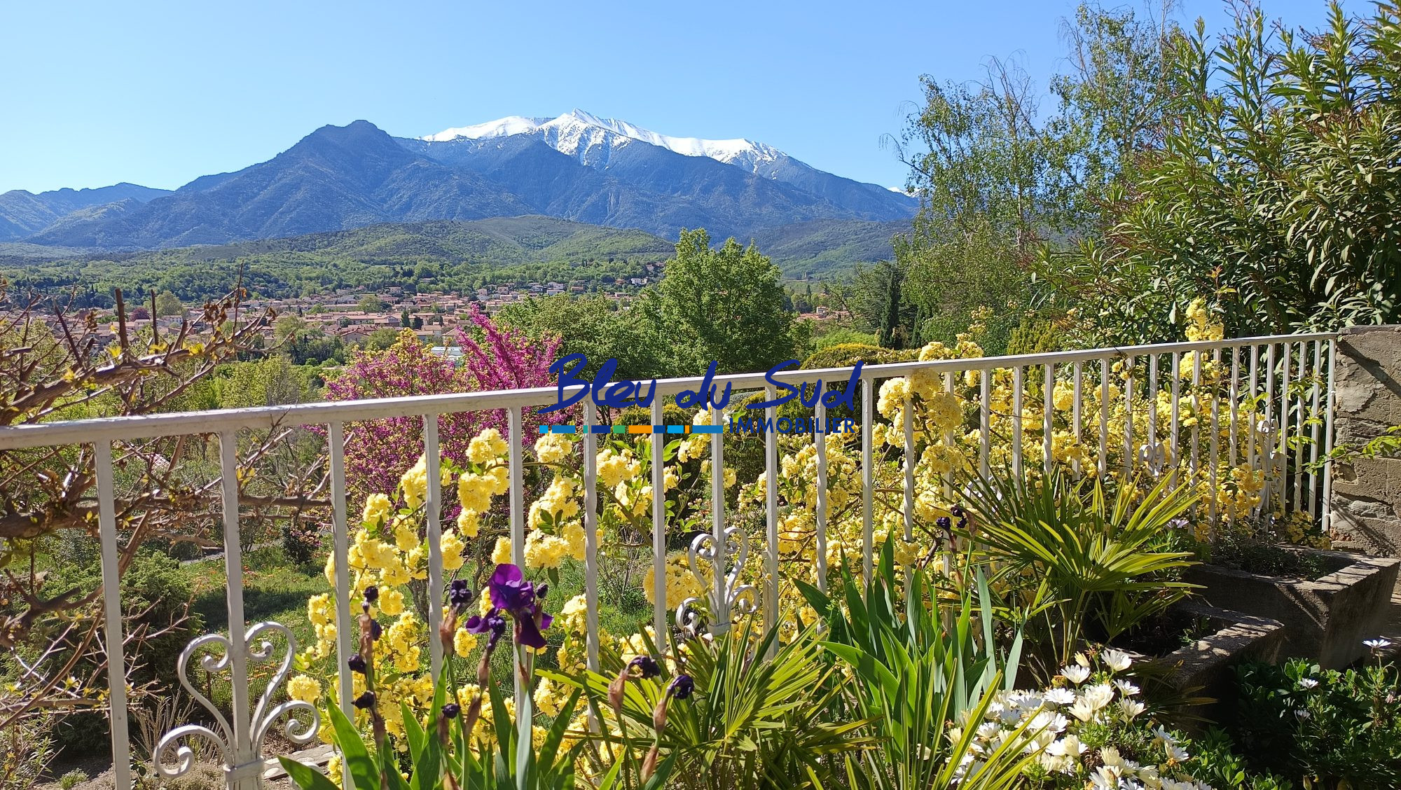 Photo 4 — BLEU DU SUD