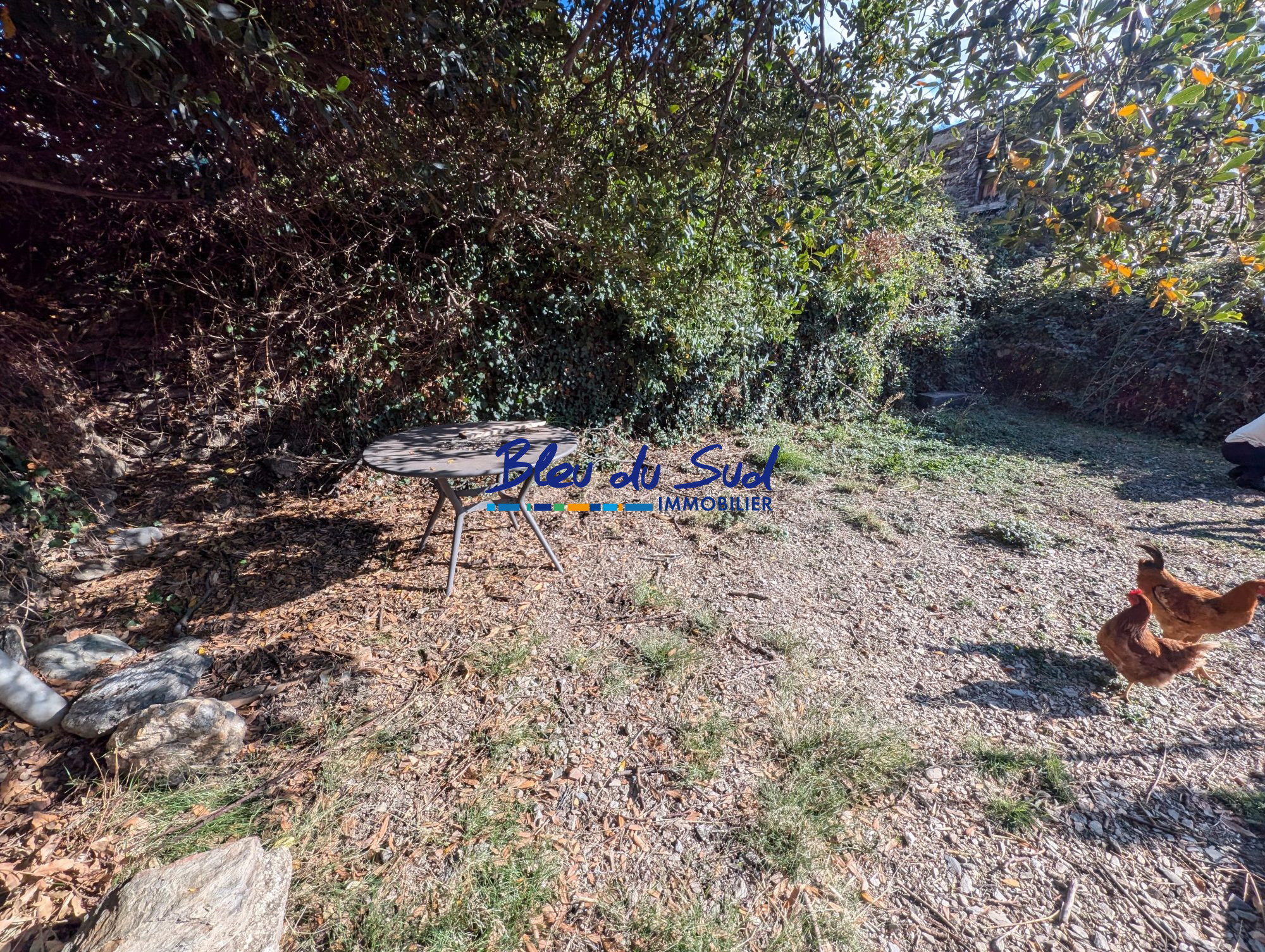 Photo 16 — BLEU DU SUD