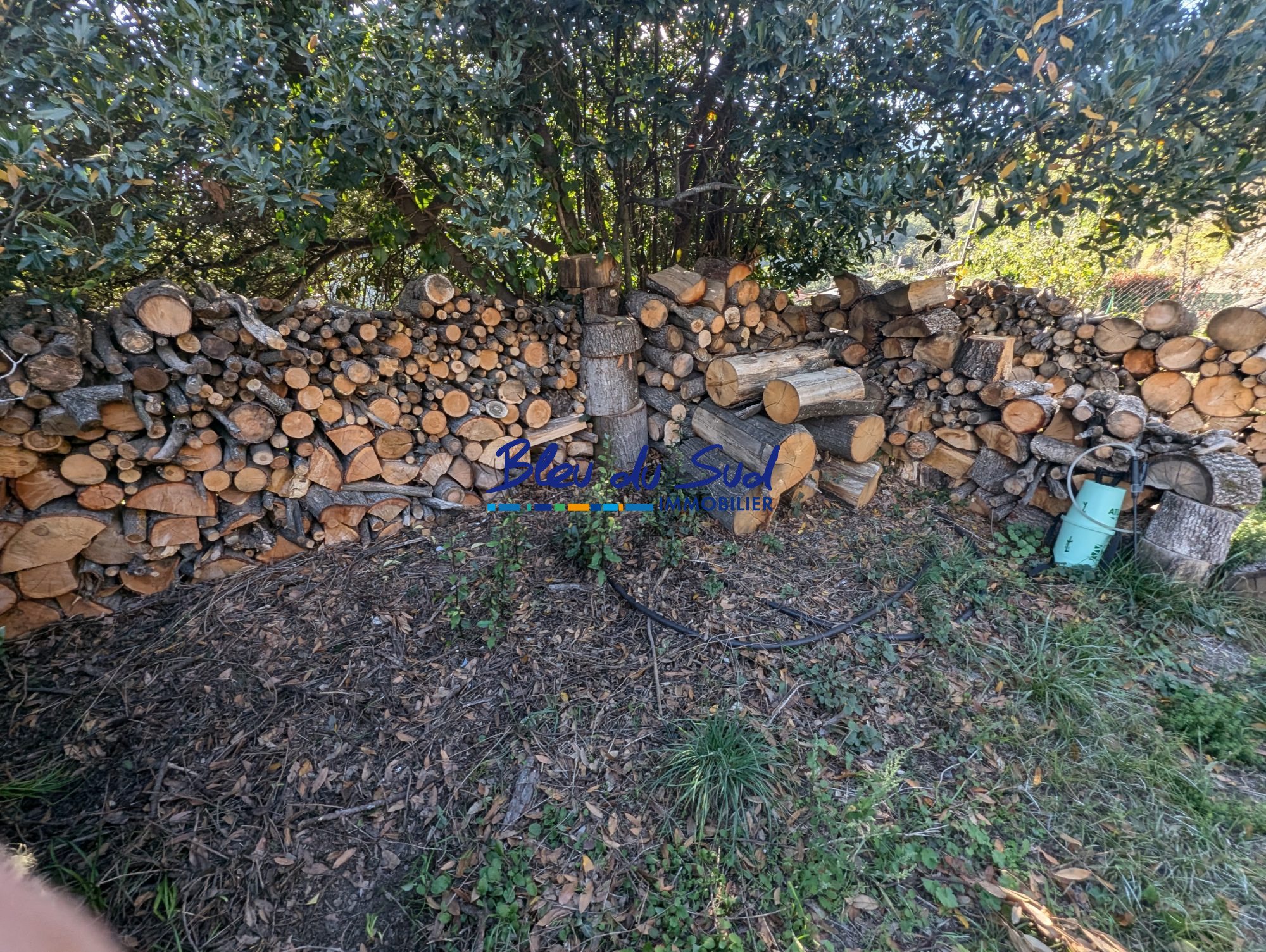 Photo 15 — BLEU DU SUD