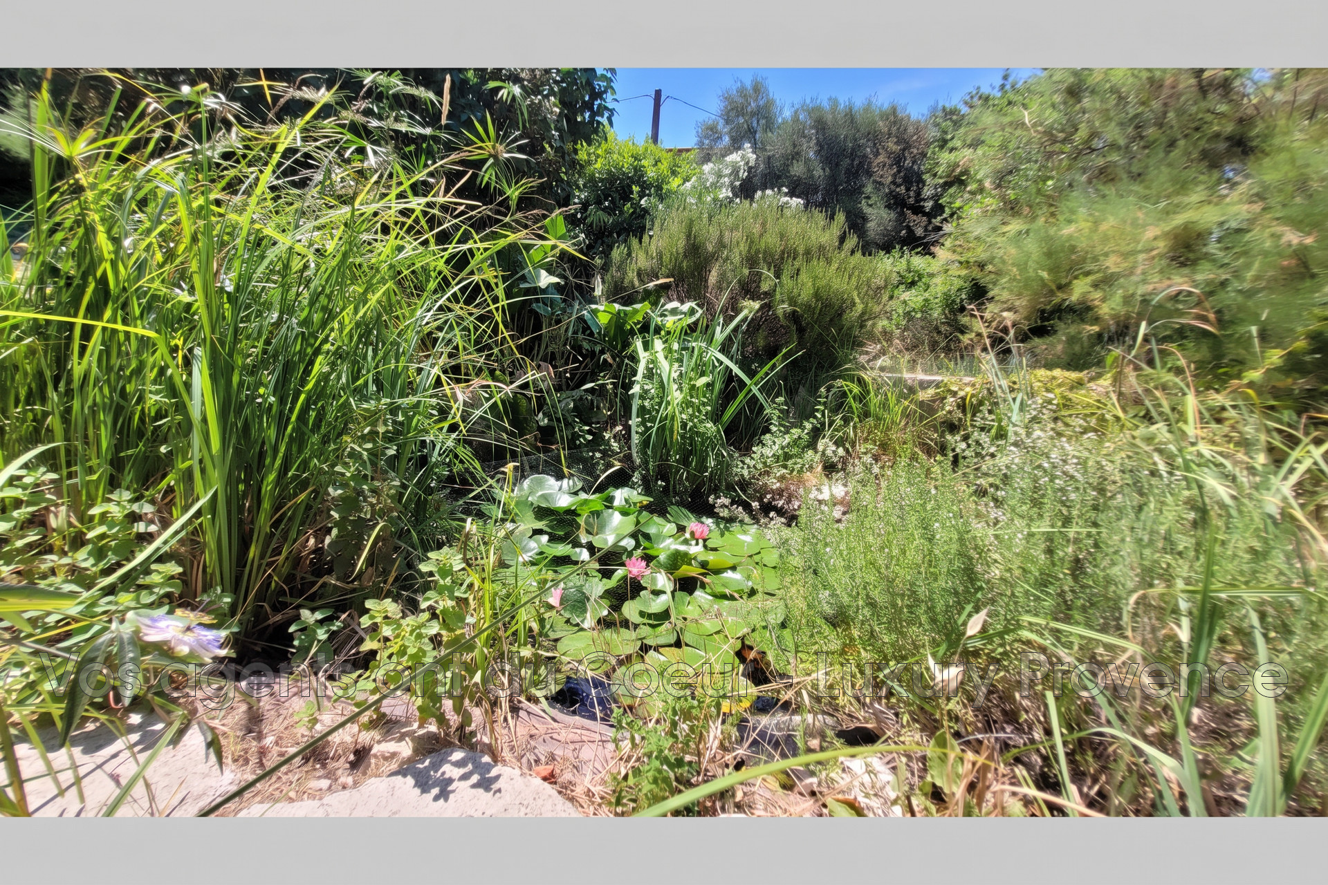 Photo 4 — LUXURY PROVENCE