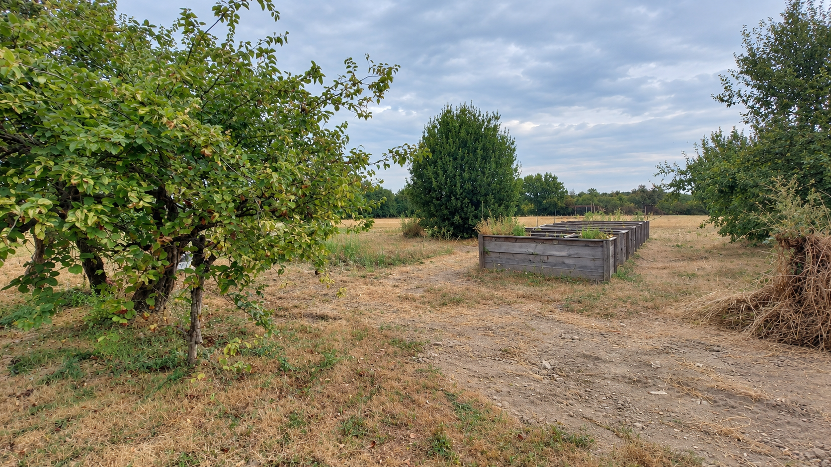Photo 19 — L'Immobilier à 360°