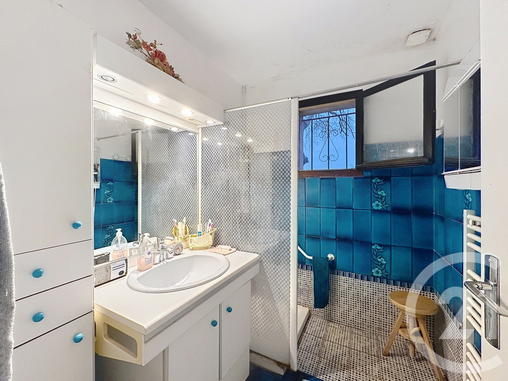 Photo 5 — Century 21 Eurogestrim