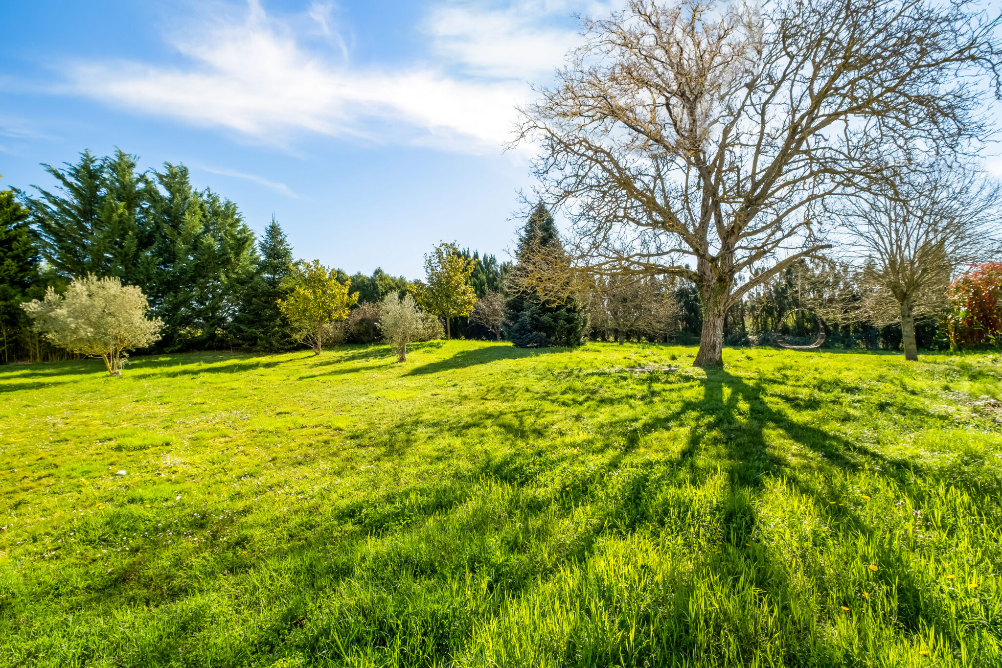 Photo 24 — JUNE IMMOBILIER