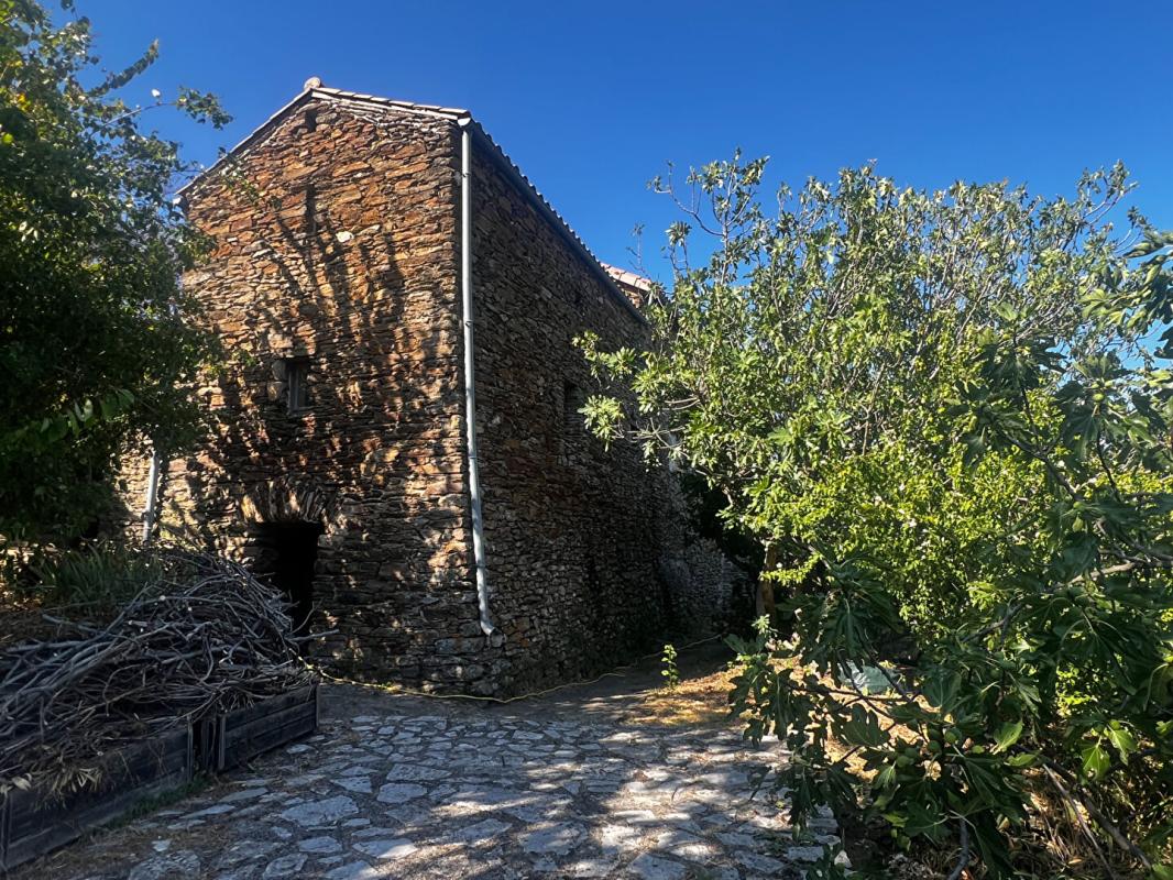 Photo 3 — LE TUC IMMO SAINT AMBROIX