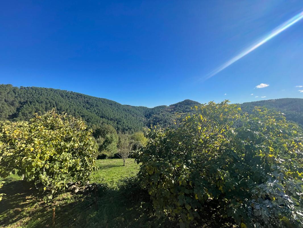 Photo 8 — BARJAC IMMOBILIER