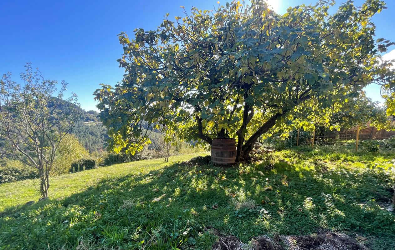 Photo 10 — BARJAC IMMOBILIER