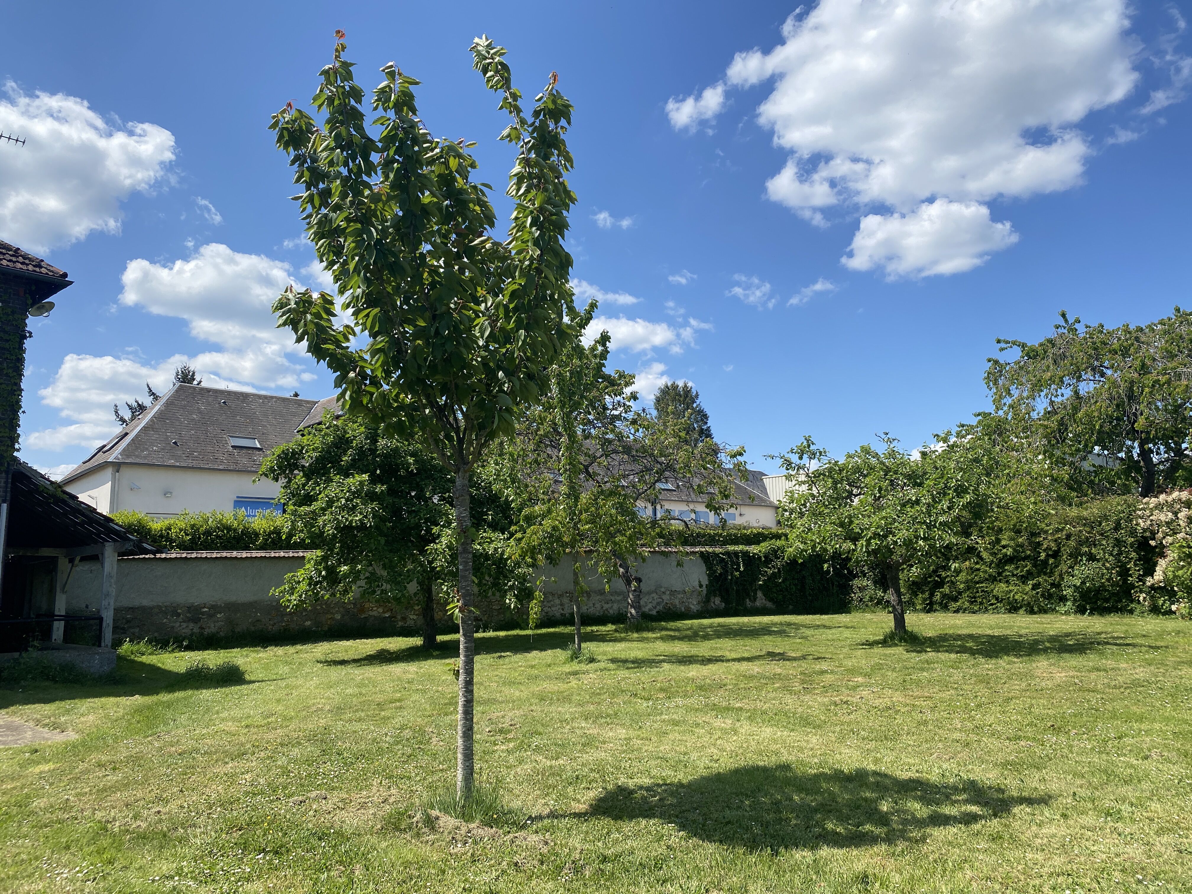 Photo 4 — L'AGENCE D'EVREUX