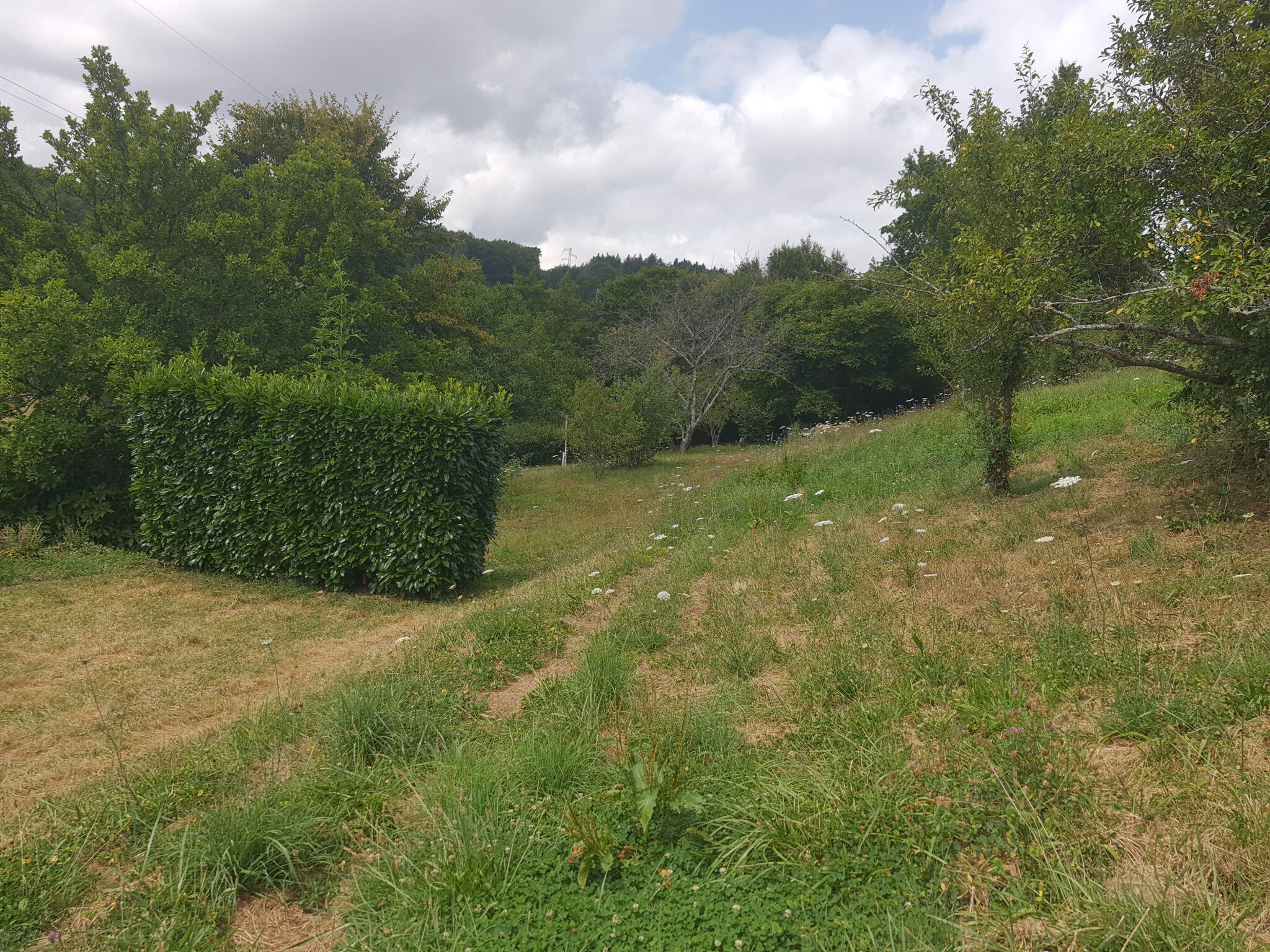 Photo 9 — M PLUS IMMOBILIER