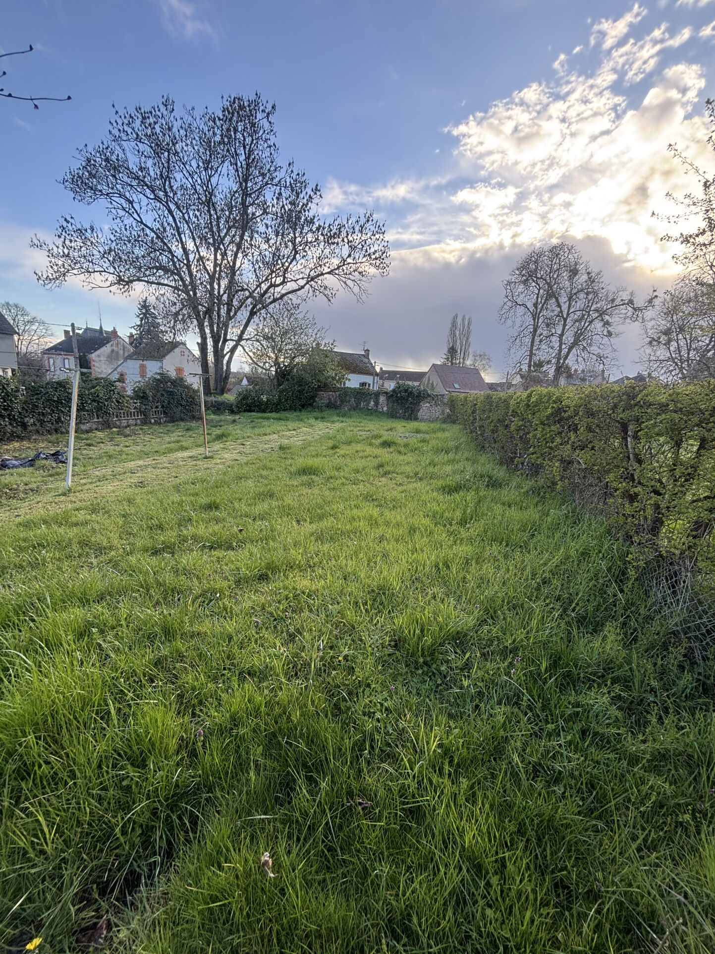 Photo 7 — M PLUS IMMOBILIER