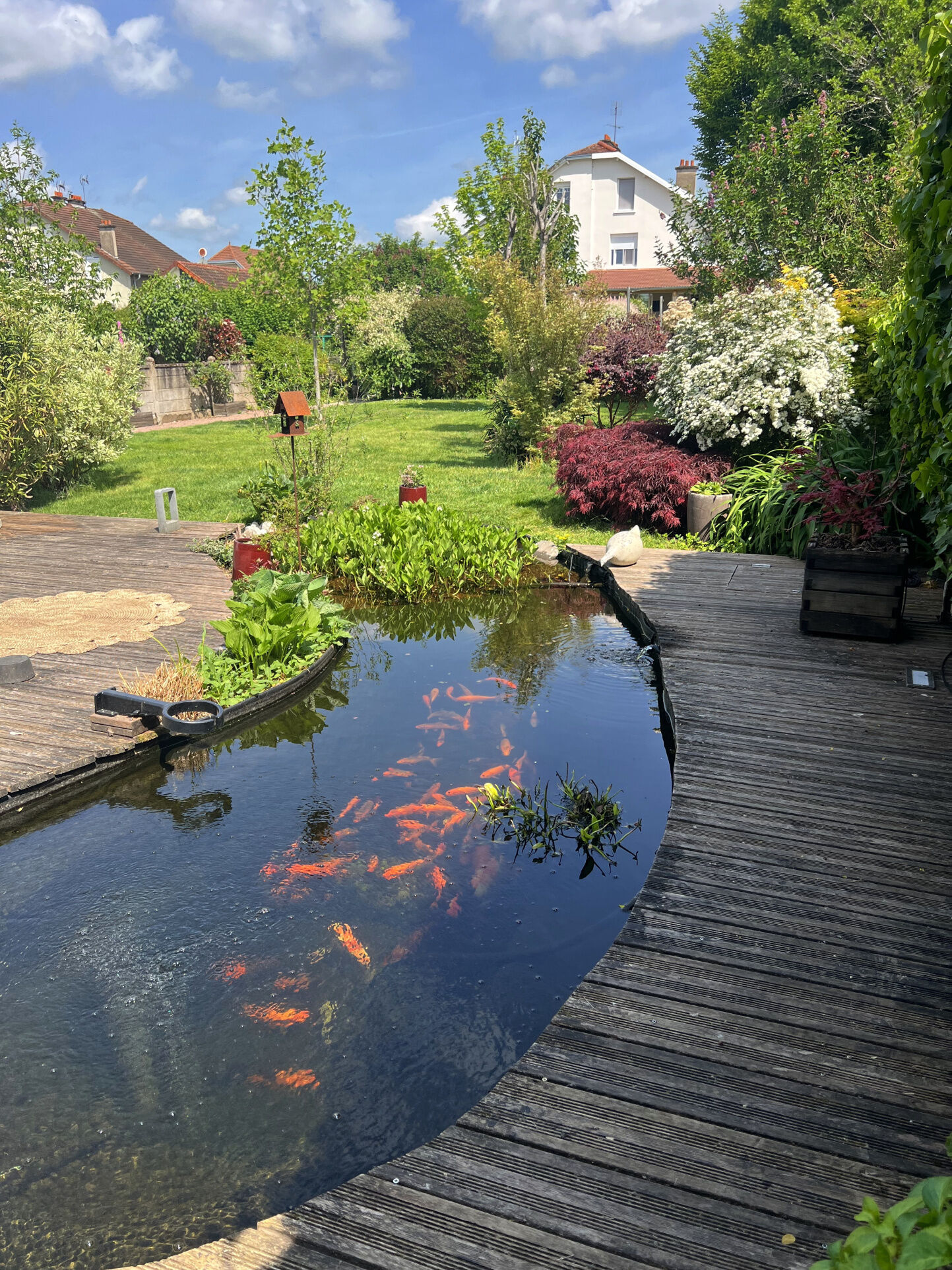 Photo 5 — M PLUS IMMOBILIER