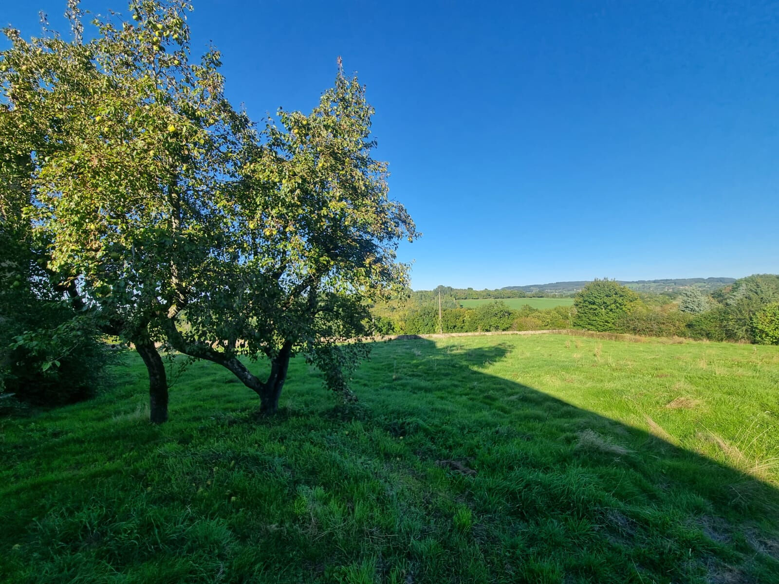 Photo 6 — M PLUS IMMOBILIER