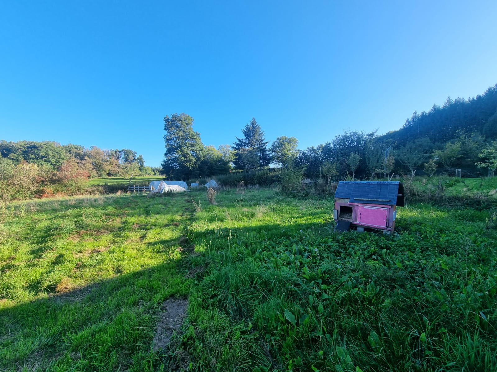 Photo 11 — M PLUS IMMOBILIER