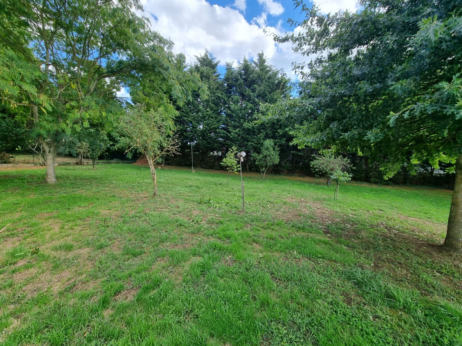 Photo 9 — M PLUS IMMOBILIER