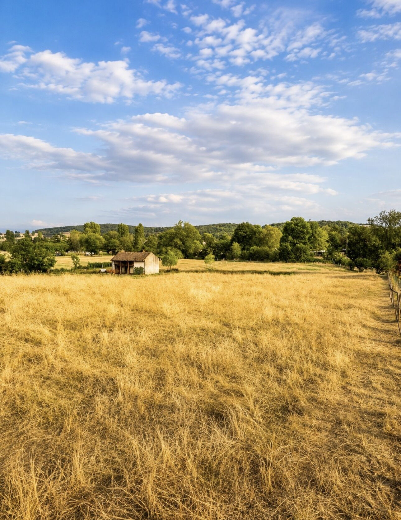 Photo 10 — M PLUS IMMOBILIER