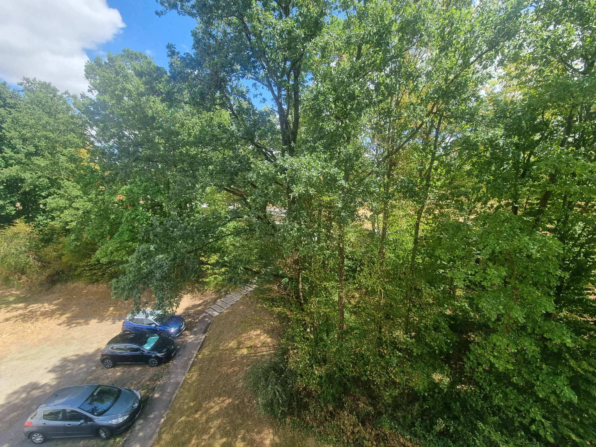 Photo 2 — M PLUS IMMOBILIER