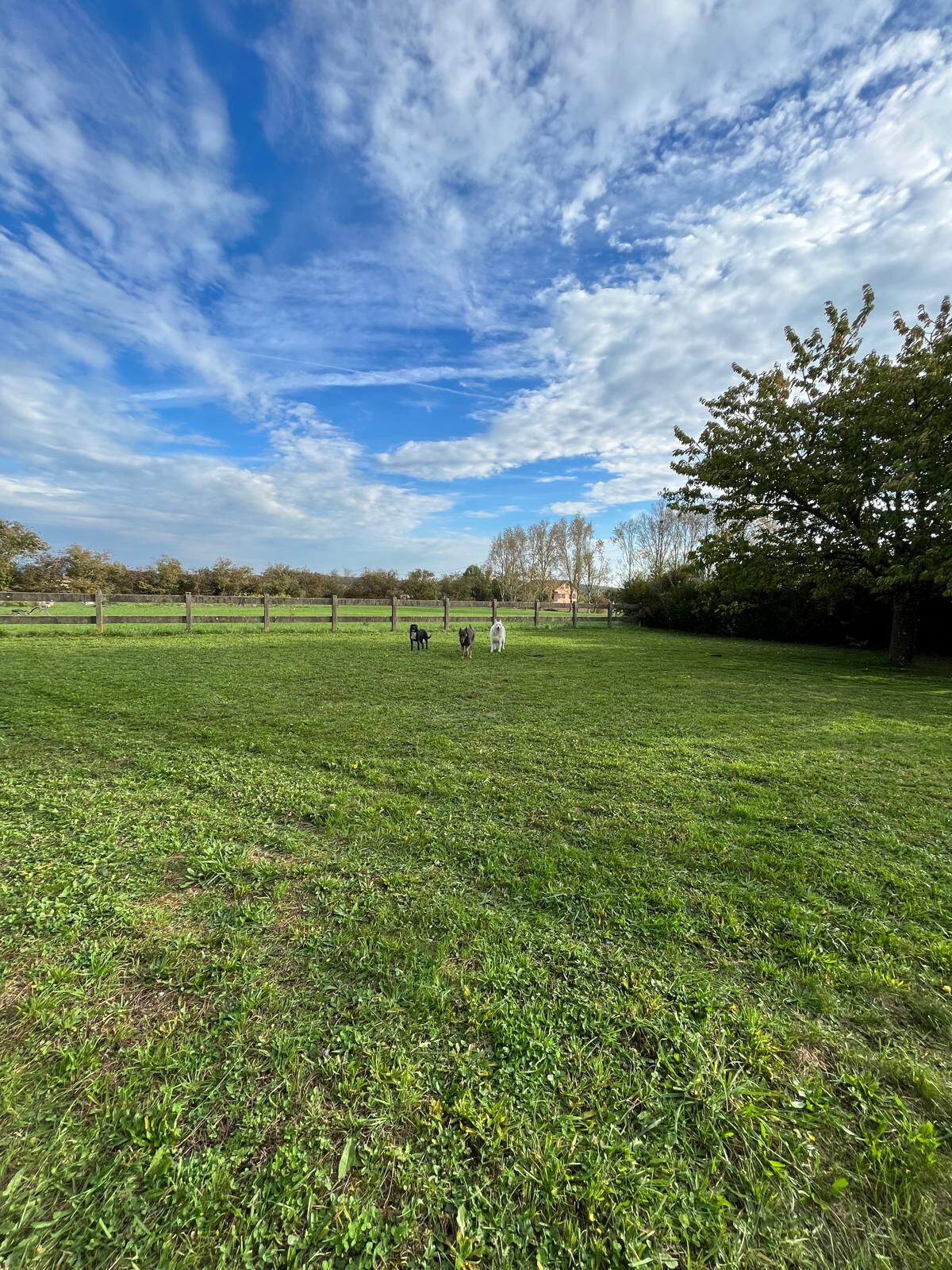 Photo 5 — M PLUS IMMOBILIER