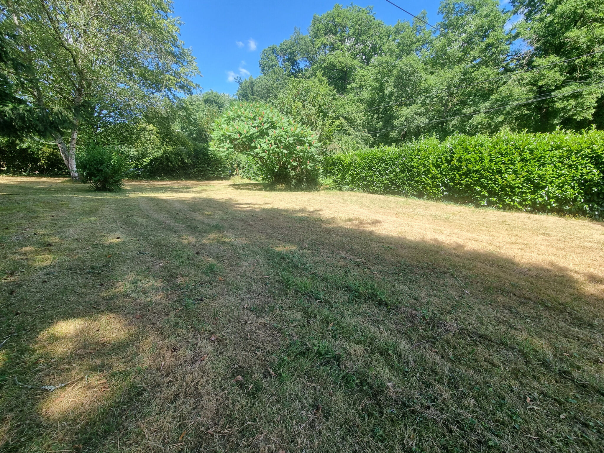 Photo 10 — M PLUS IMMOBILIER
