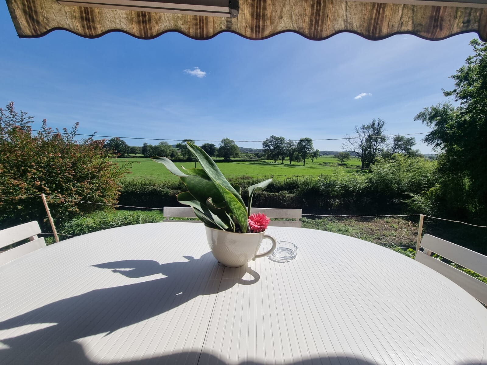 Photo 2 — M PLUS IMMOBILIER