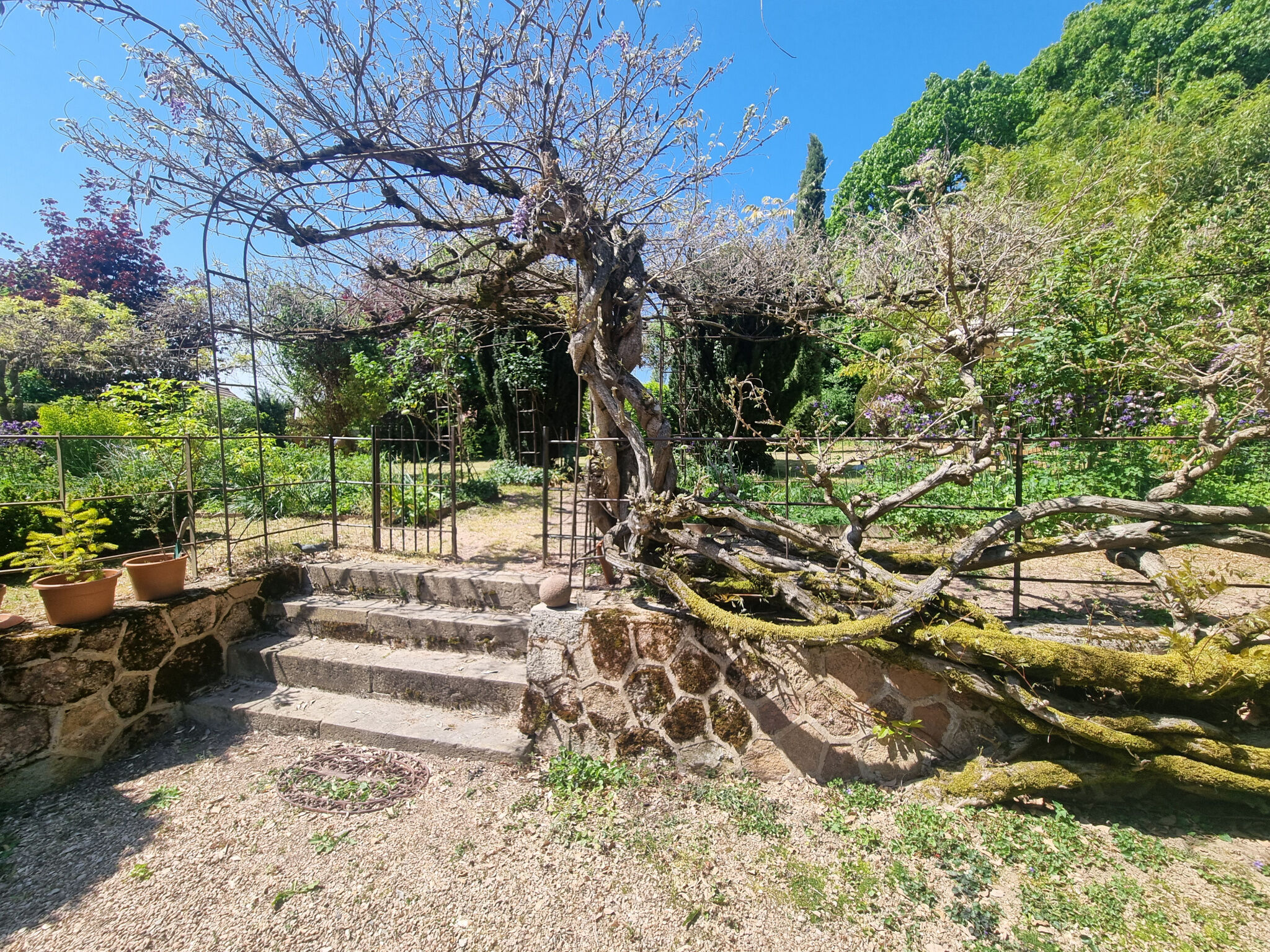 Photo 3 — M PLUS IMMOBILIER
