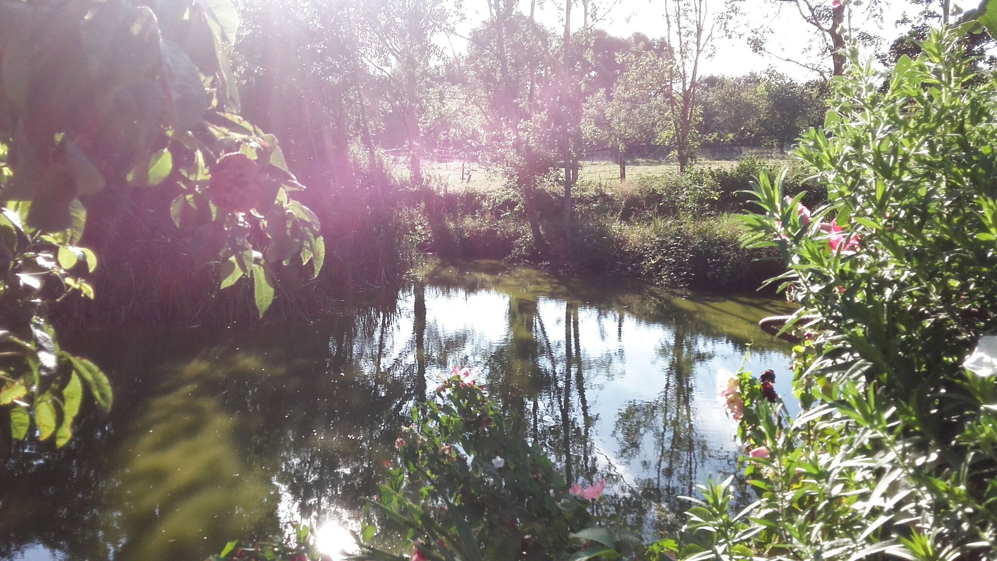 Photo 6 — GIN IMMOBILIER