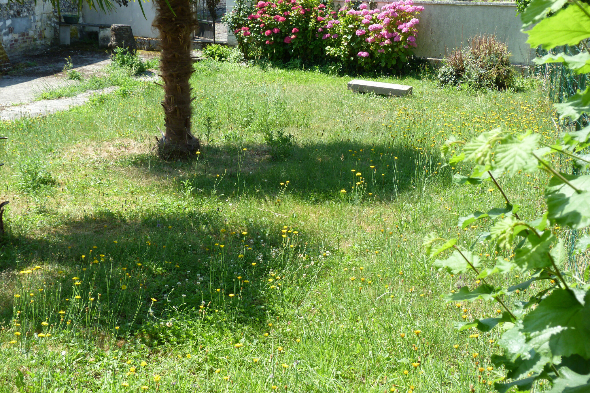 Photo 3 — GIN IMMOBILIER
