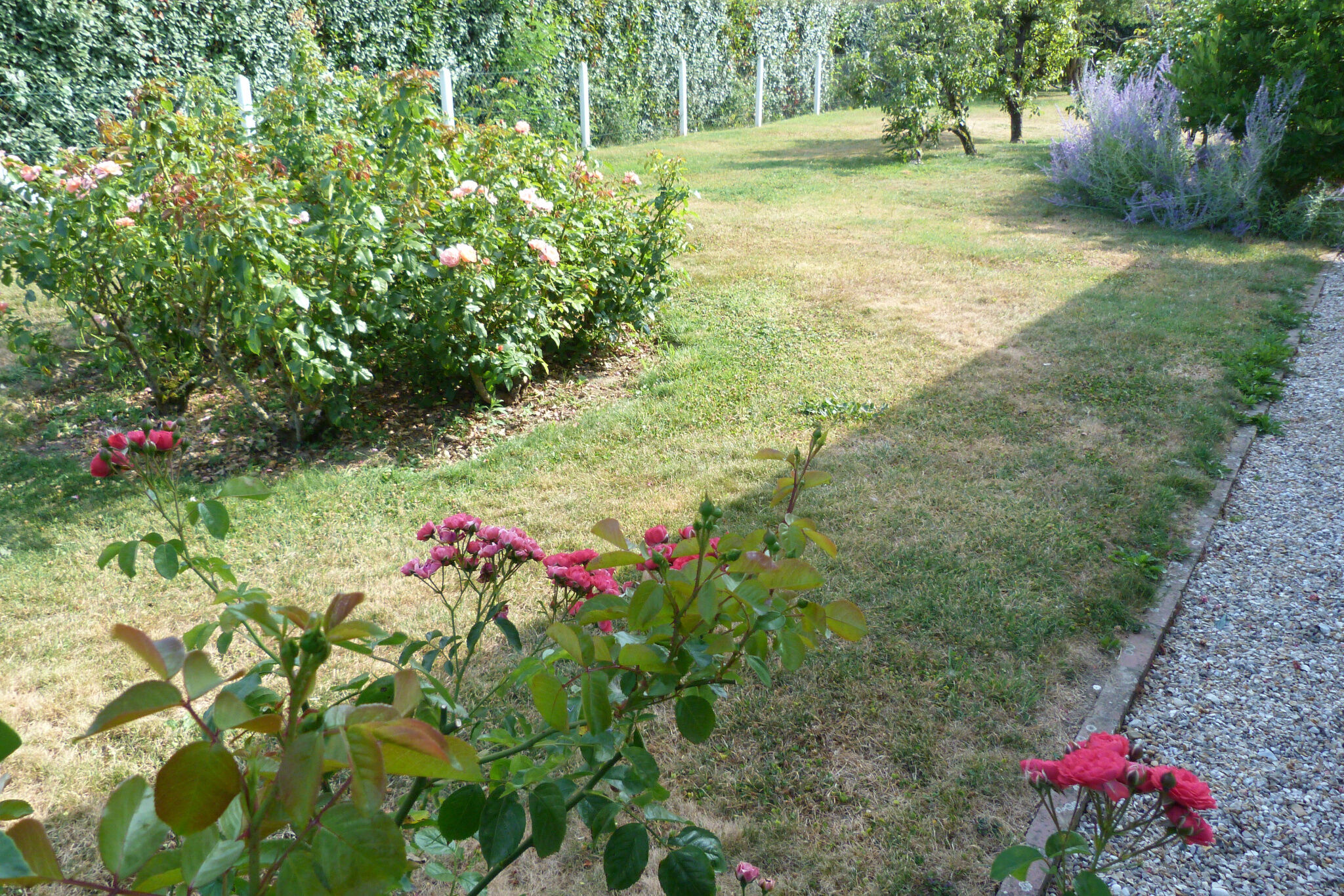 Photo 4 — GIN IMMOBILIER