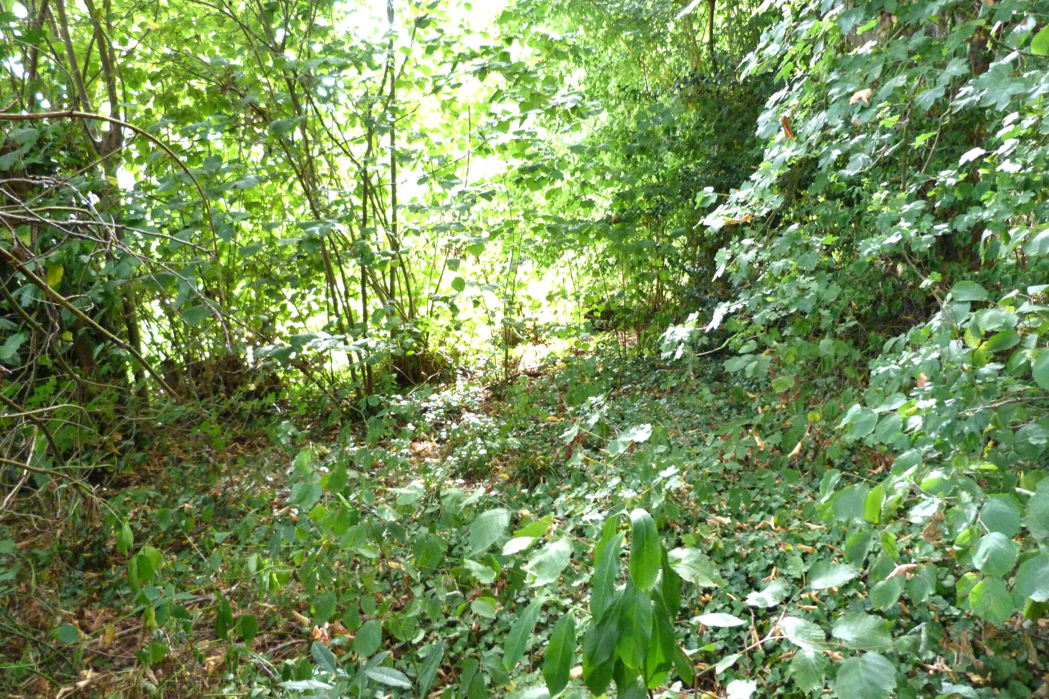 Photo 16 — GIN IMMOBILIER