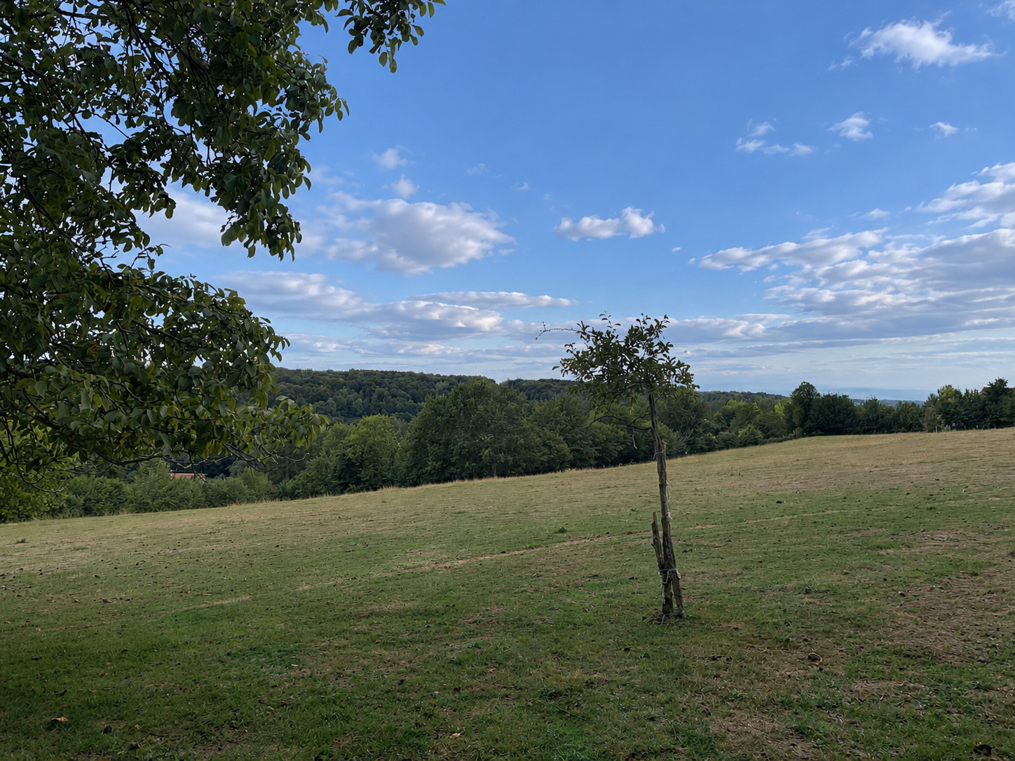 Photo 4 — GIN IMMOBILIER