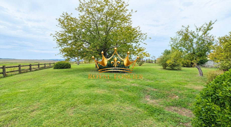 Photo 23 — ROYAL FONCIER