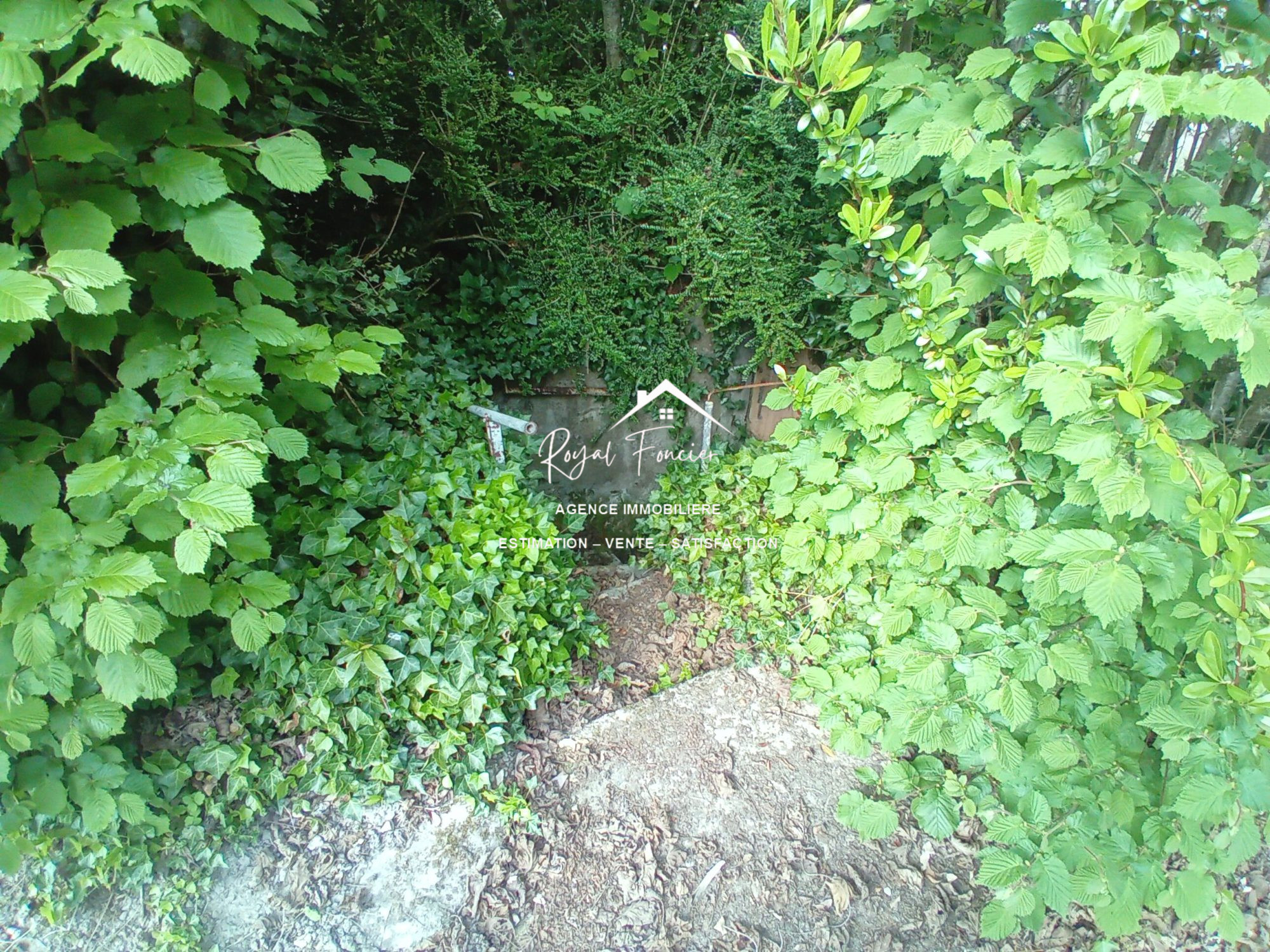 Photo 13 — ROYAL FONCIER