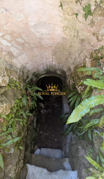 Photo 24 — ROYAL FONCIER