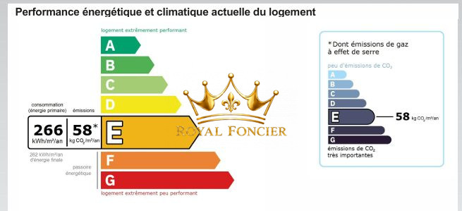 Photo 21 — ROYAL FONCIER