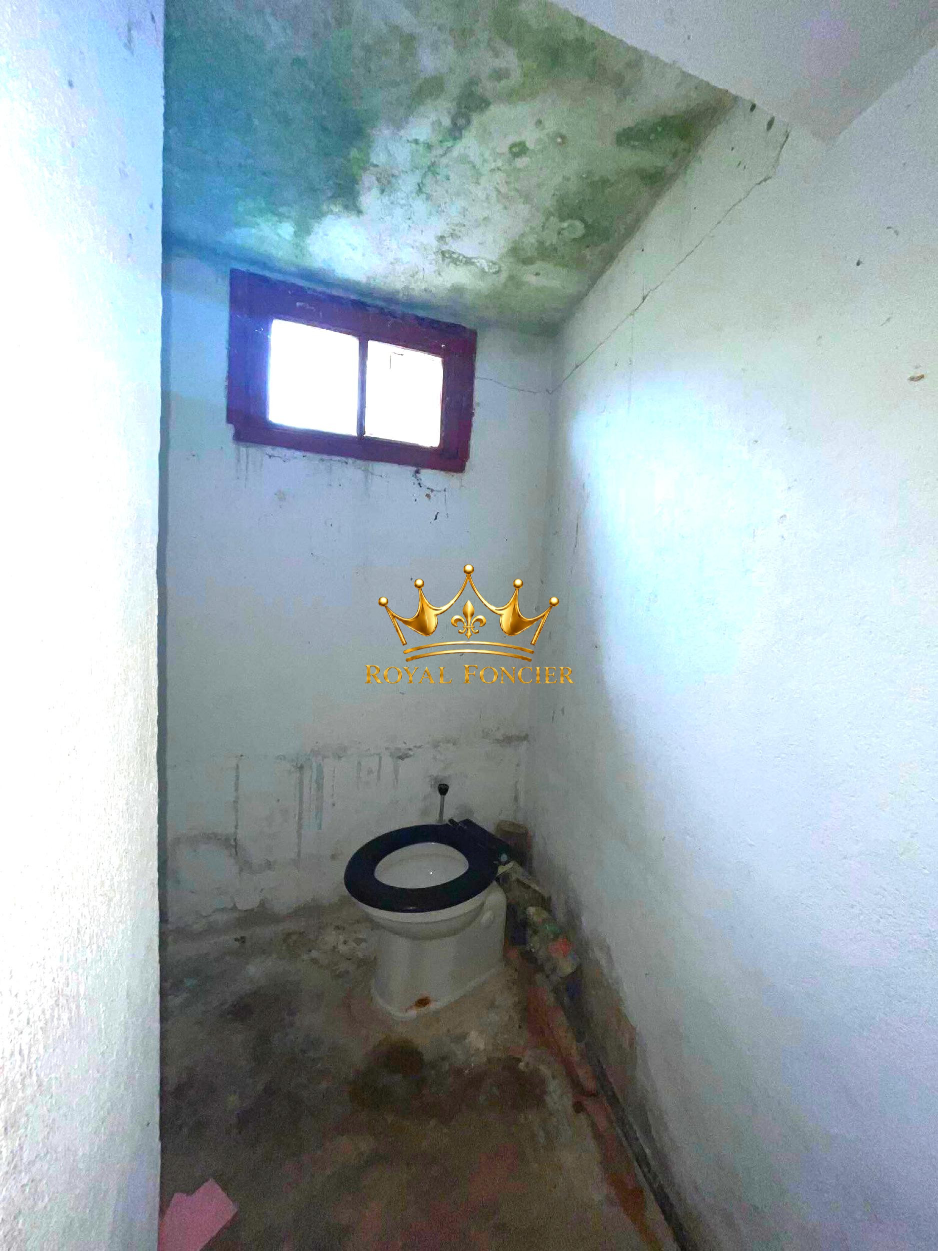 Photo 11 — ROYAL FONCIER