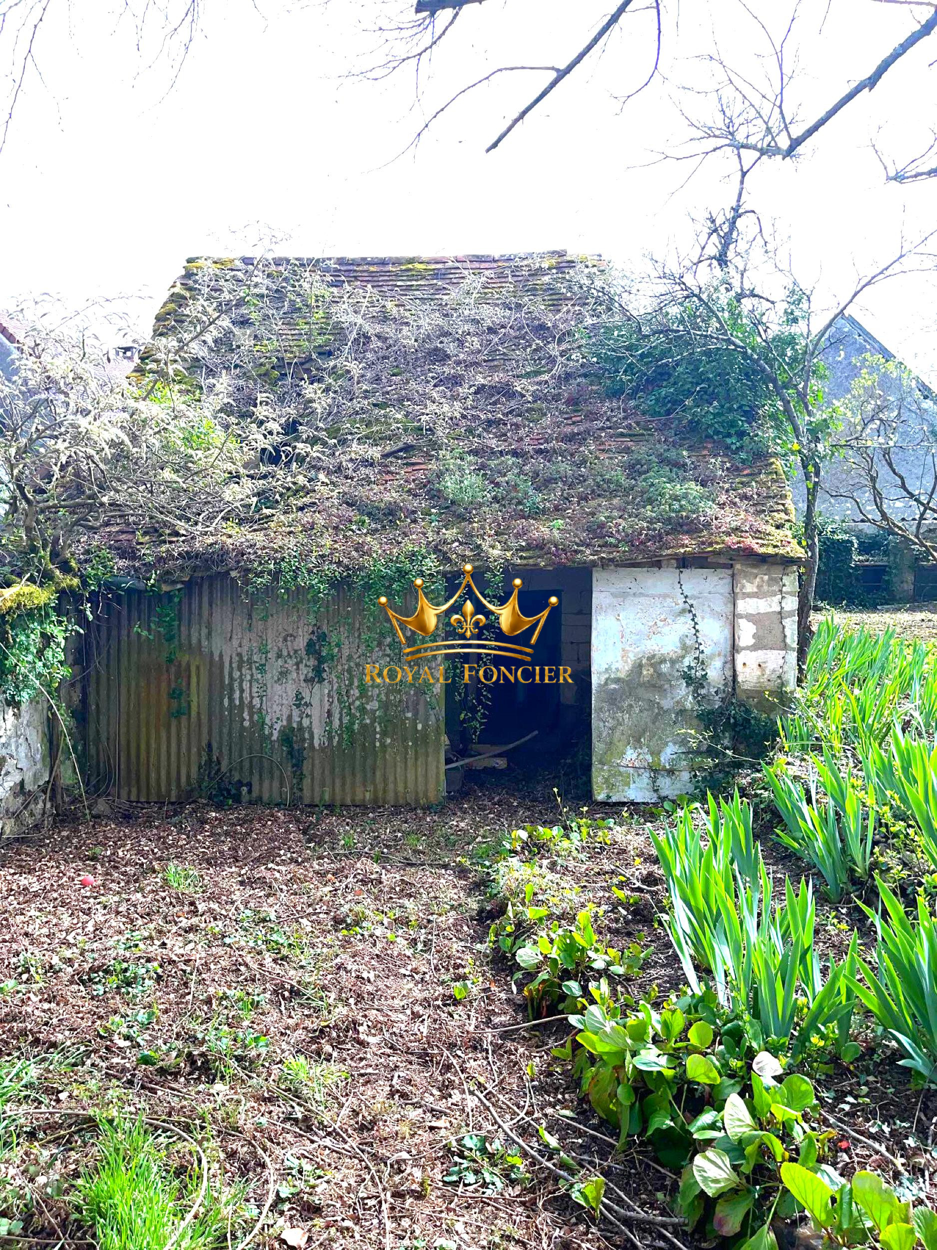 Photo 13 — ROYAL FONCIER