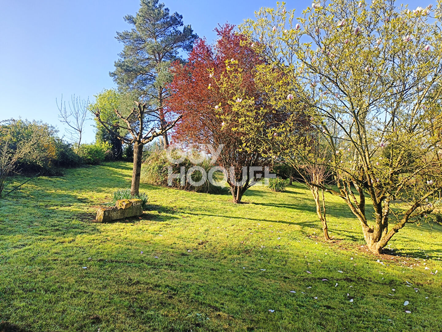 Photo 4 — Guy Hoquet Fontenay