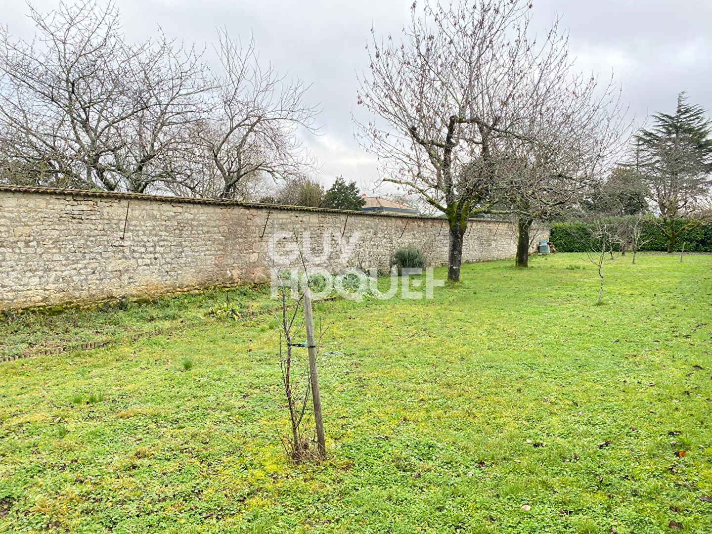 Photo 9 — Guy Hoquet Fontenay