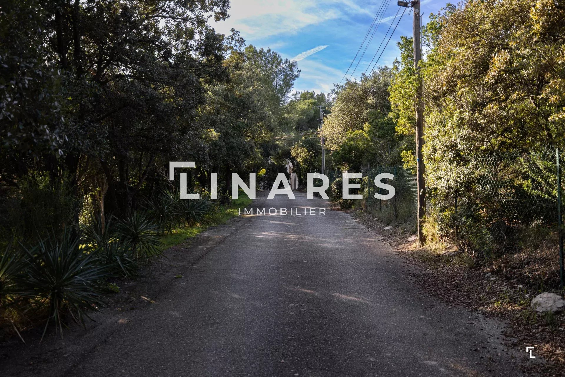 Photo 14 — LLINARES IMMOBILIER