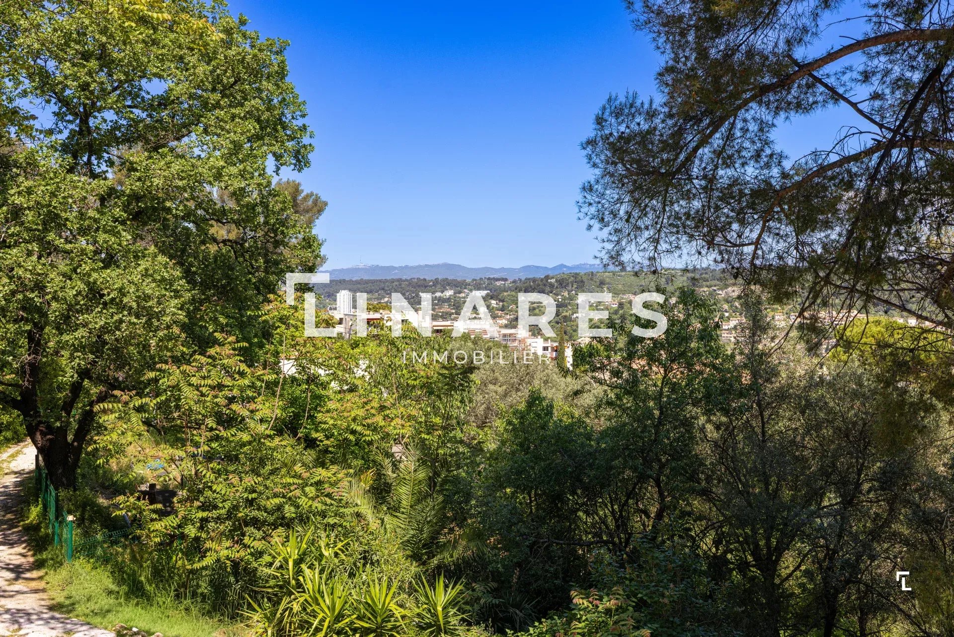 Photo 2 — LLINARES IMMOBILIER