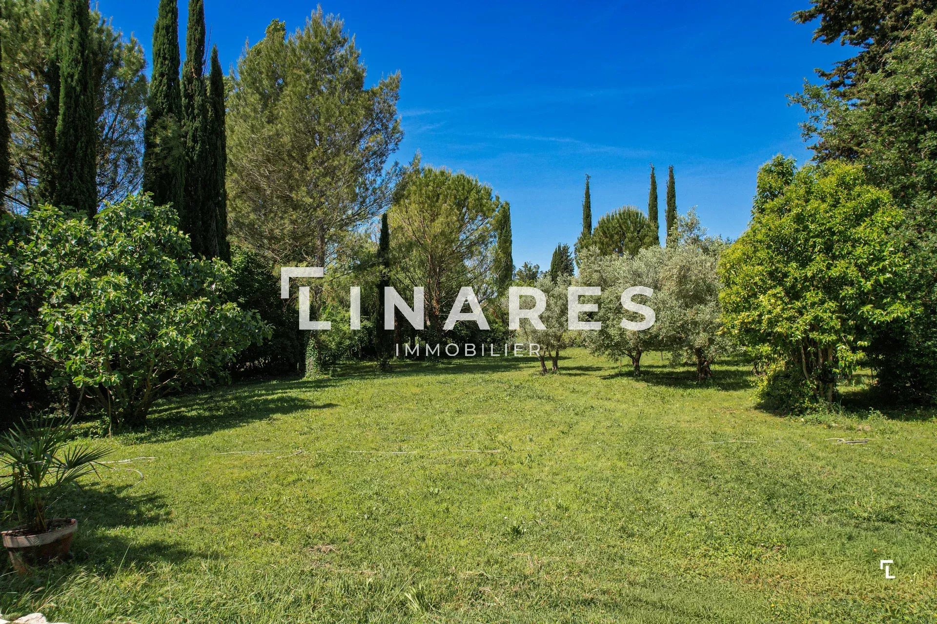 Photo 2 — LLINARES IMMOBILIER
