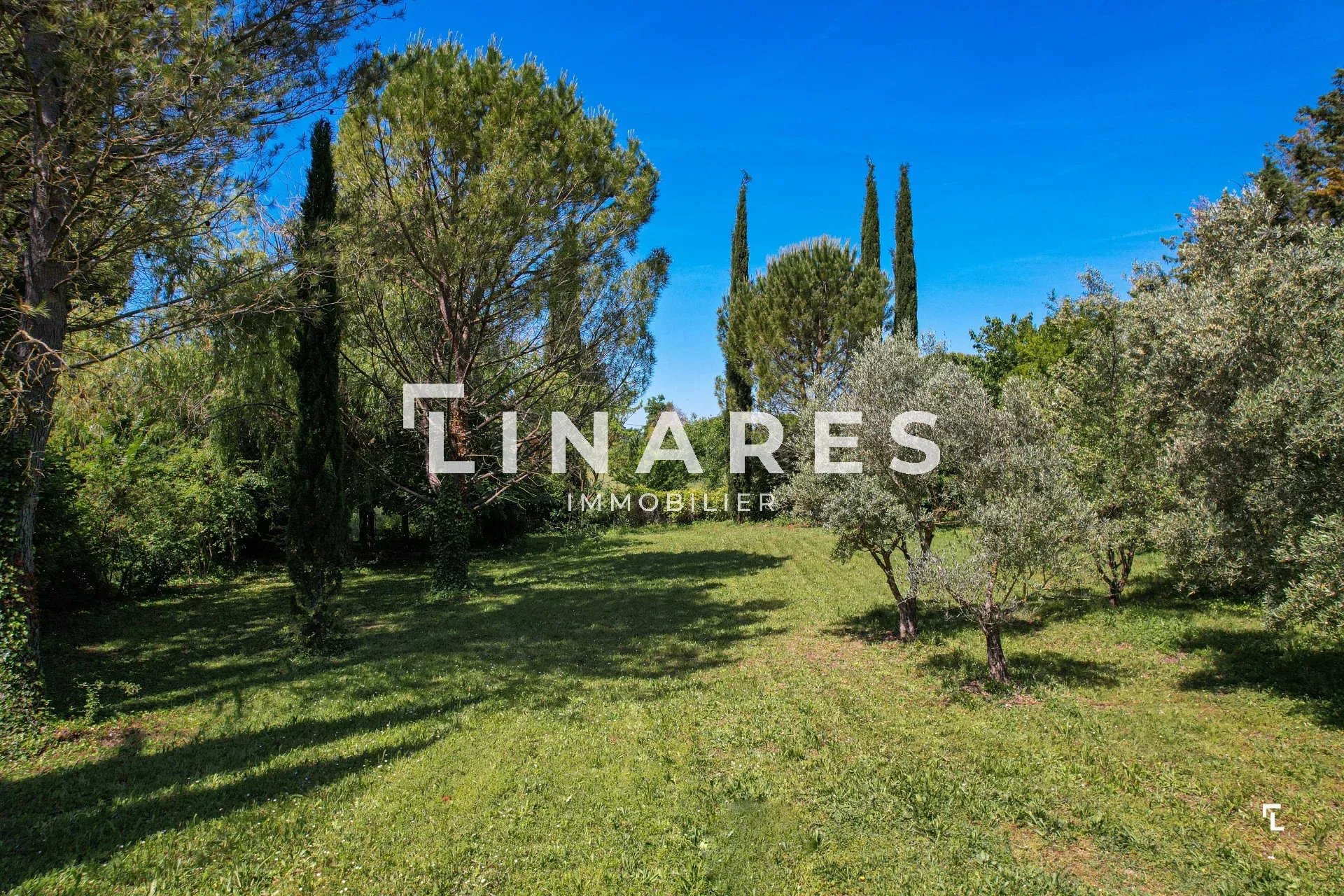 Photo 24 — LLINARES IMMOBILIER
