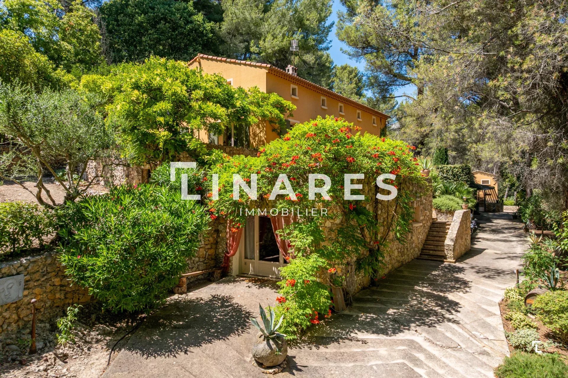 Photo 30 — LLINARES IMMOBILIER