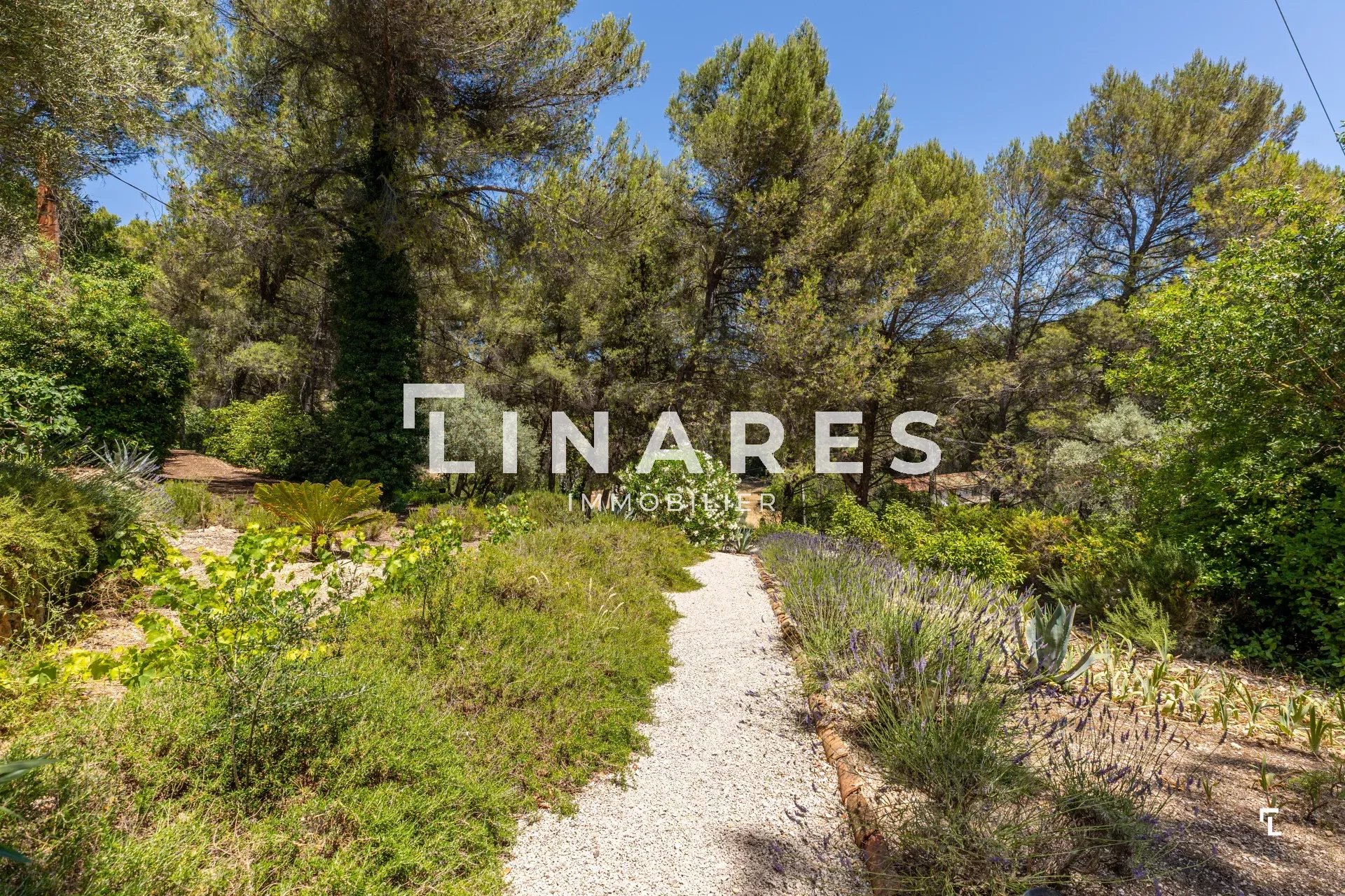 Photo 28 — LLINARES IMMOBILIER