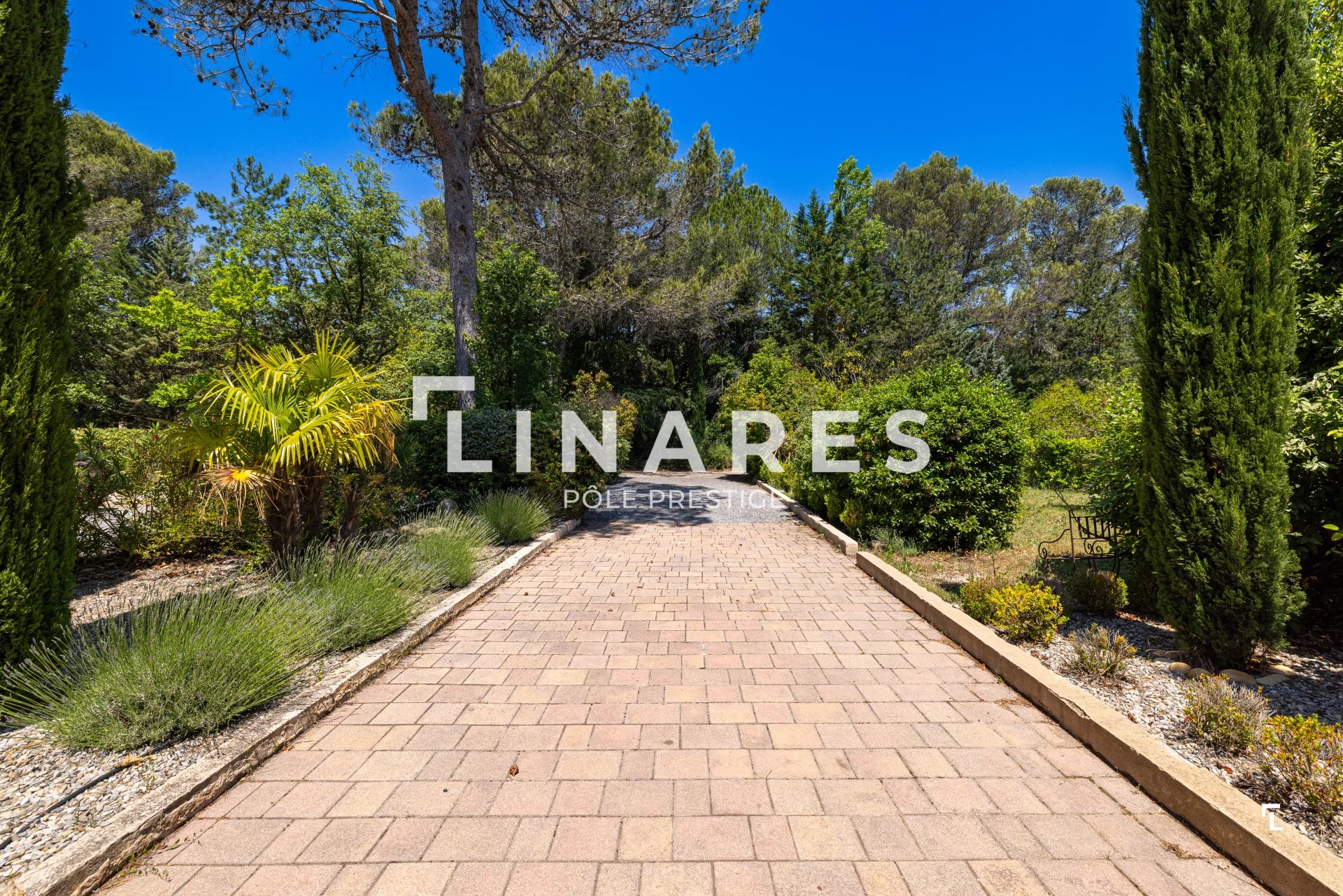 Photo 19 — LLINARES IMMOBILIER
